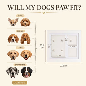 The Clay Paw Print Kit